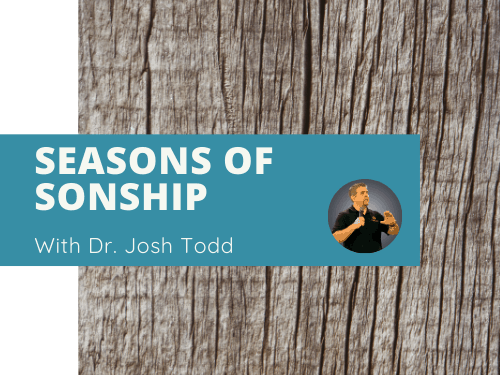 Seasons of Sonship course image